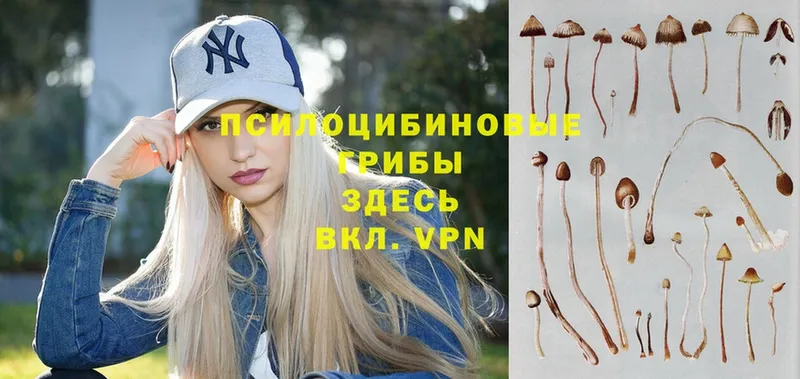 kraken ссылки  цена наркотик  Джанкой  Галлюциногенные грибы Psilocybine cubensis 